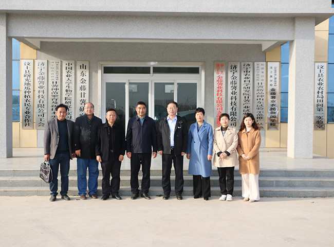 領(lǐng)導(dǎo)實(shí)地考察