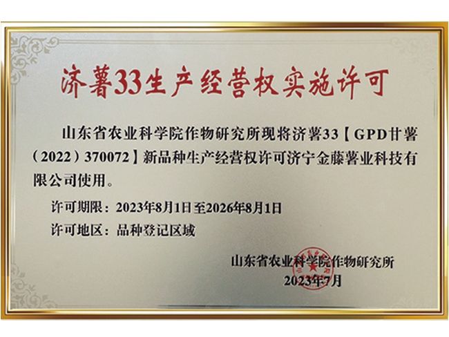 濟(jì)薯33生產(chǎn)經(jīng)營權(quán)實(shí)施許可