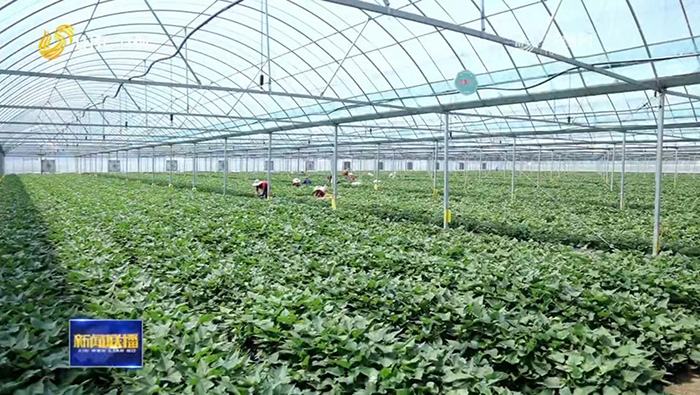 微信圖片_20240620164100.jpg 微信圖片_20240620164100.jpg